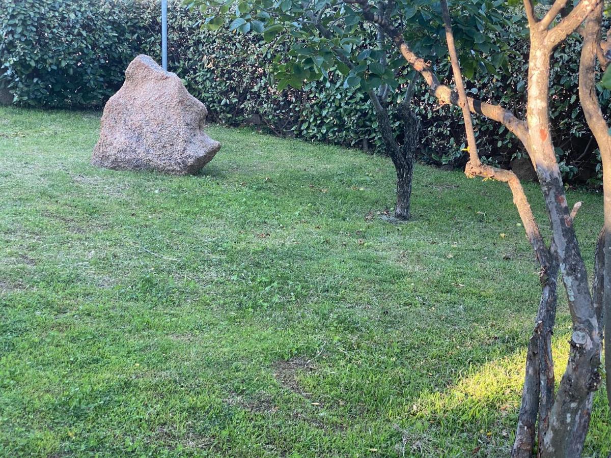 Bed And Breakfast Li Paduli Alvi Cannigione Exterior foto